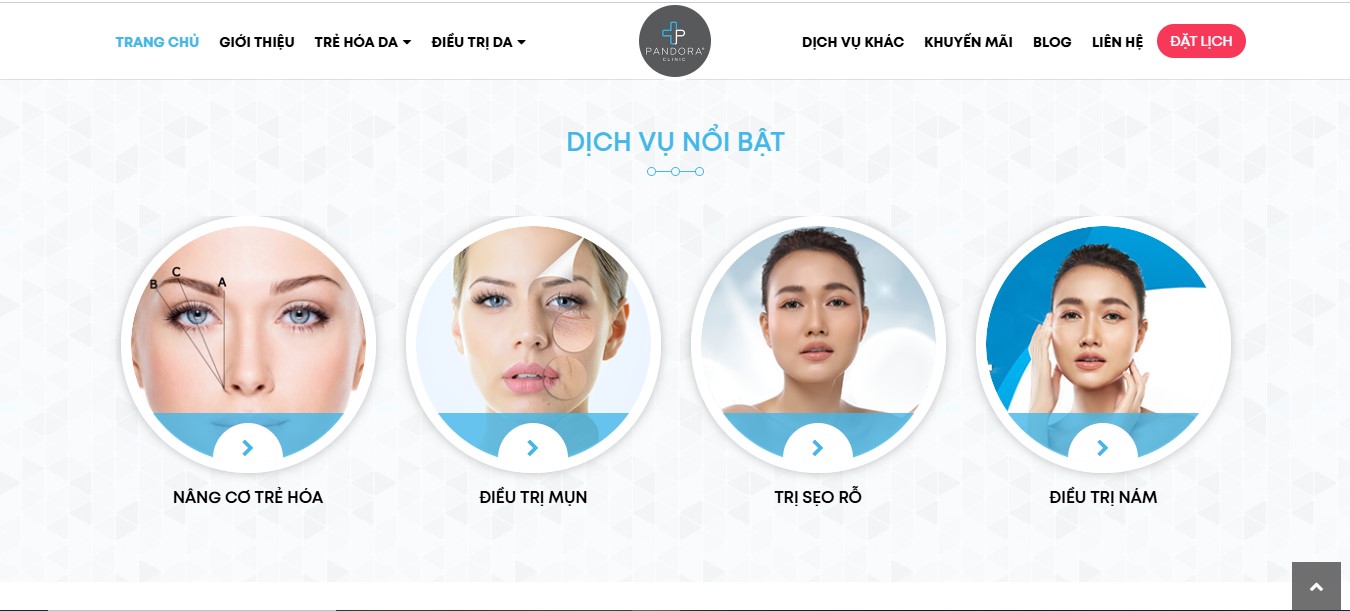 Phần giới thiệu dịch vụ của Website viện thẩm mỹ Pandora Clinic